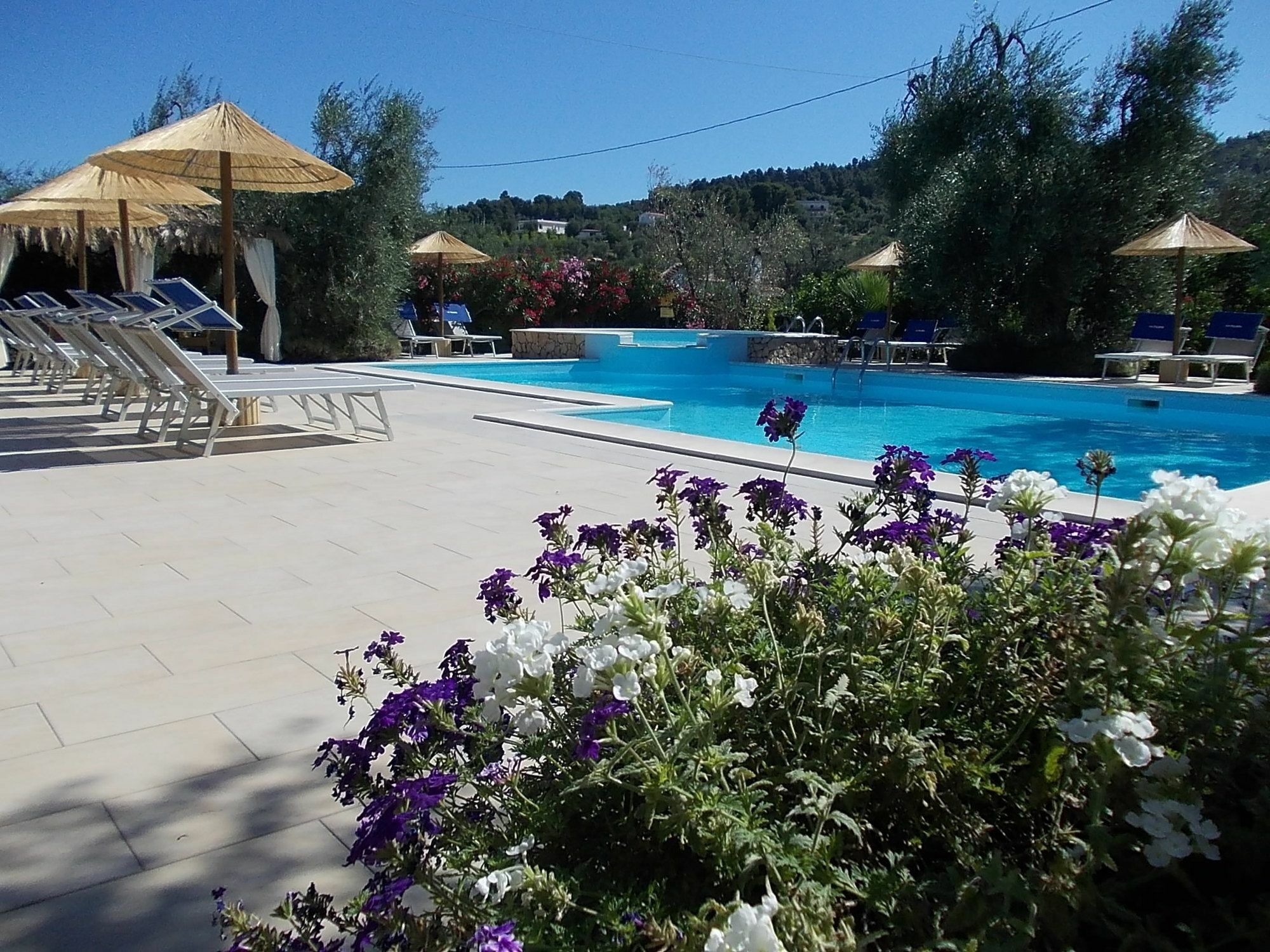Casa Vacanze la Paloma Peschici Esterno foto
