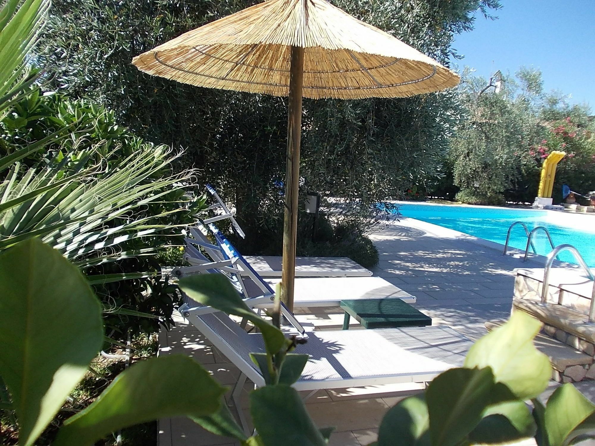 Casa Vacanze la Paloma Peschici Esterno foto
